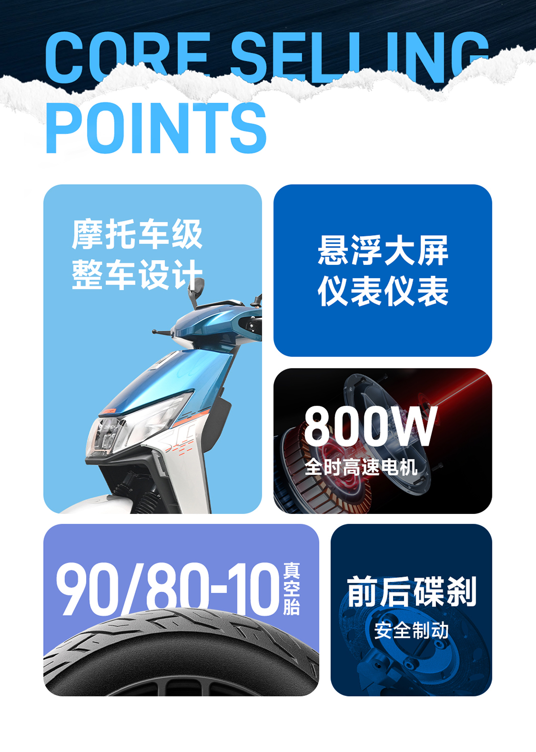 虎鯊長圖_02.jpg
