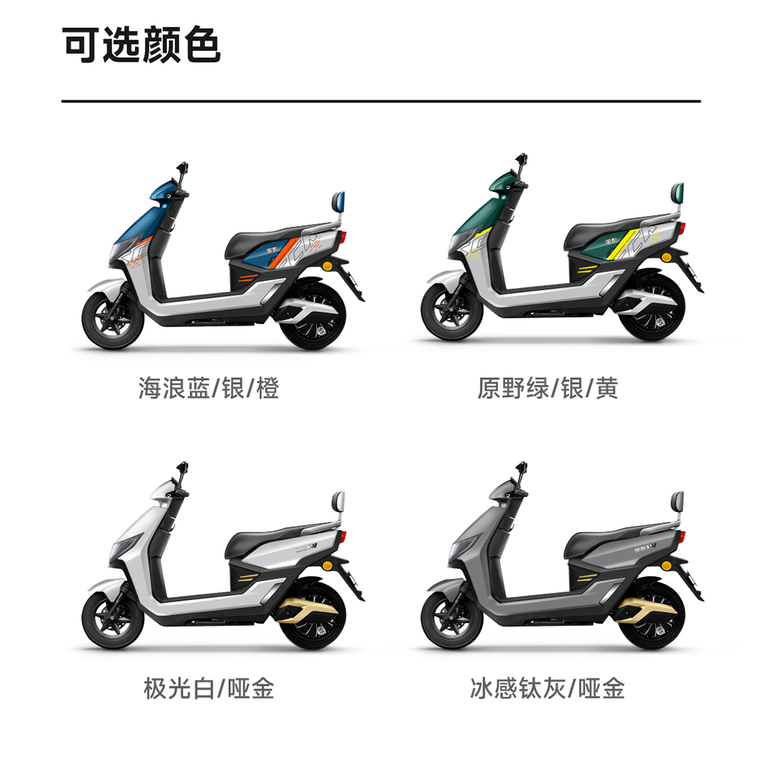 虎鯊長圖_03.jpg
